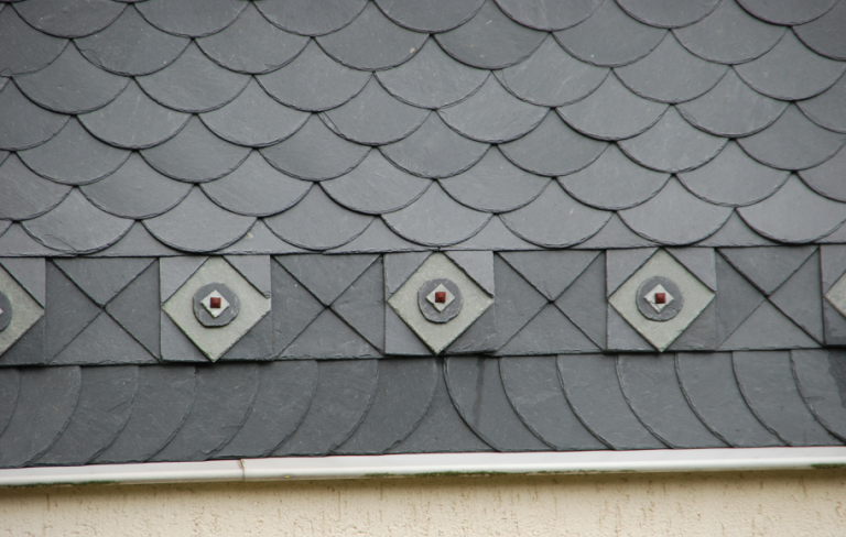 Fischschuppen Detail