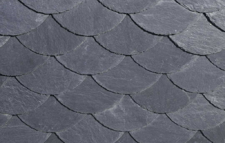 Fischschuppen Detailansicht